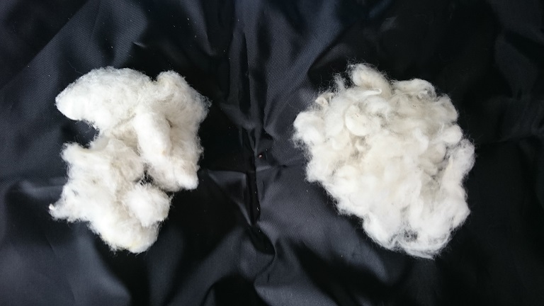 棉と綿