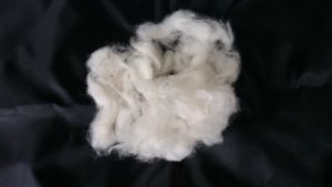 綿（種とり後）